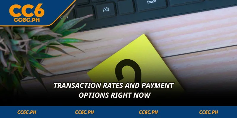 Transaction rates and payment options right now