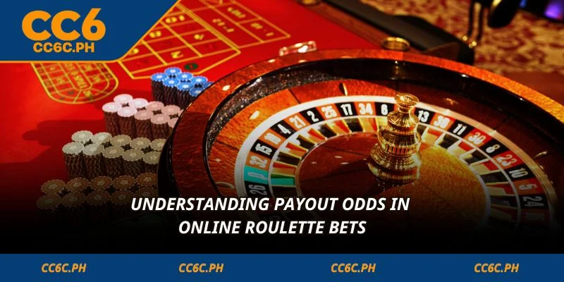 Understanding payout odds in online roulette bets