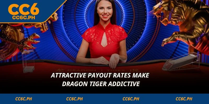 Attractive payout rates make Dragon Tiger addictive