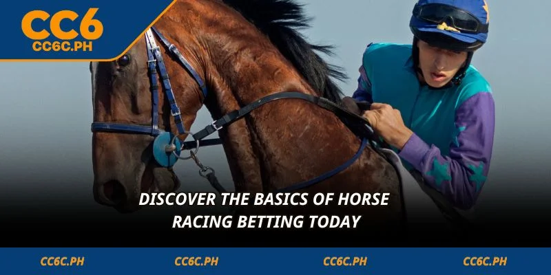 Discover the basics of horse racing betting today
