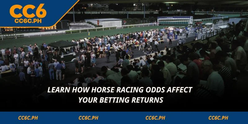 Learn how horse racing odds affect your betting returns