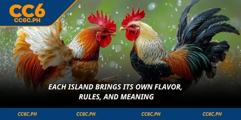 Each island brings its own flavor, rules, and meaning